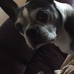 Meet your Posher, Ashlynn